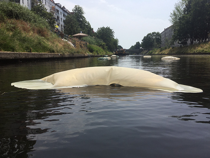 48 Stunden Neukölln Kunst auf dem Landwehrkanal